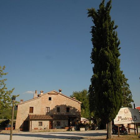Molenda B&B Città di Castello Esterno foto