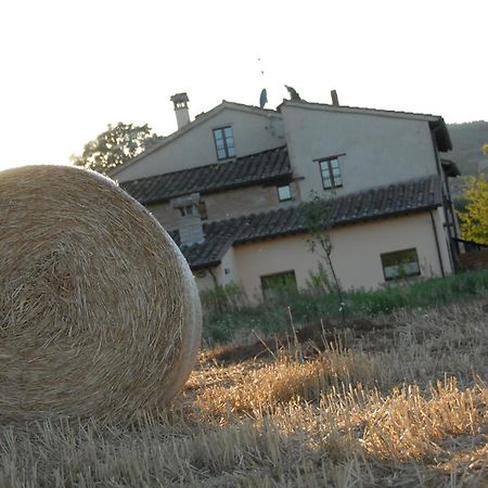 Molenda B&B Città di Castello Esterno foto
