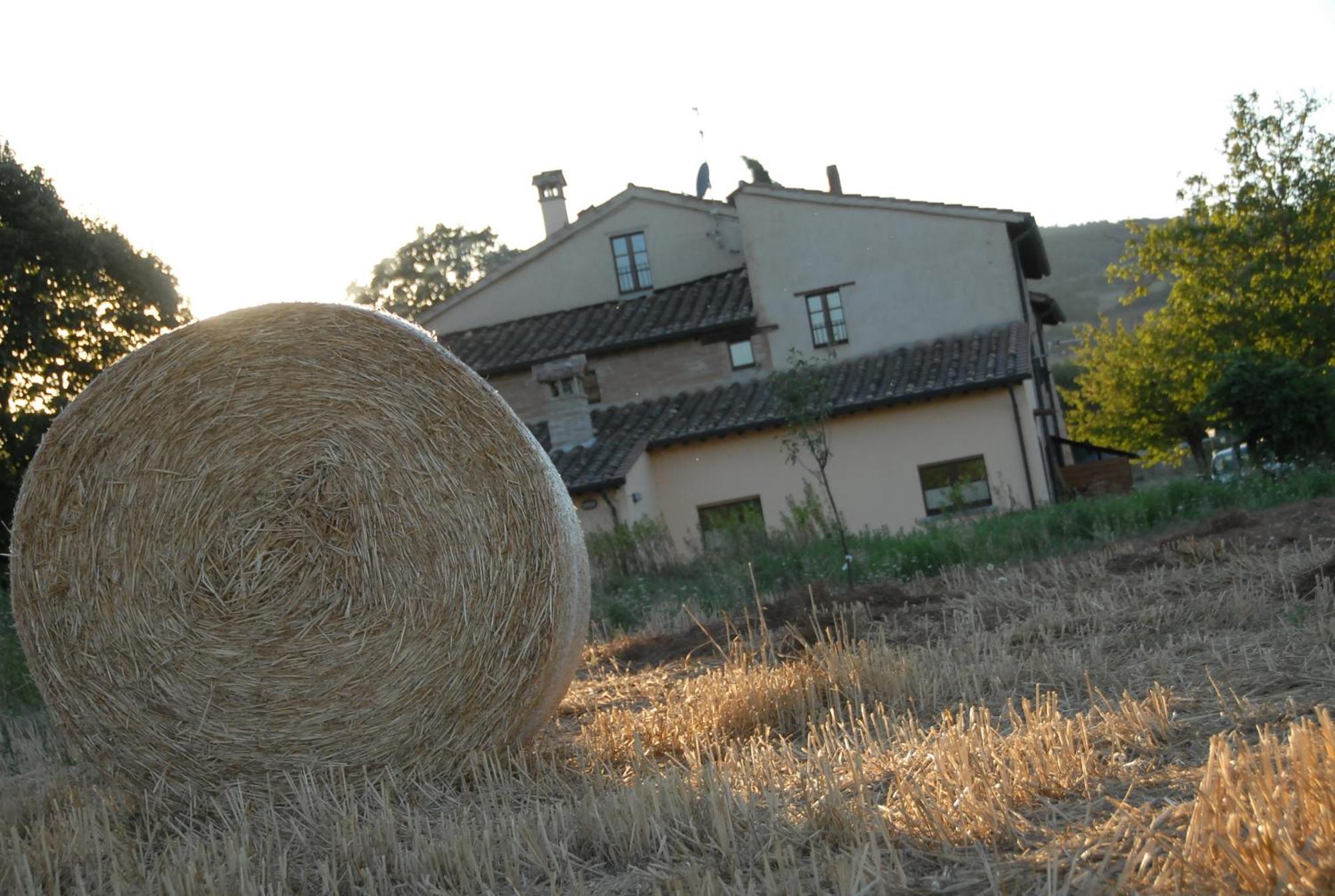 Molenda B&B Città di Castello Esterno foto